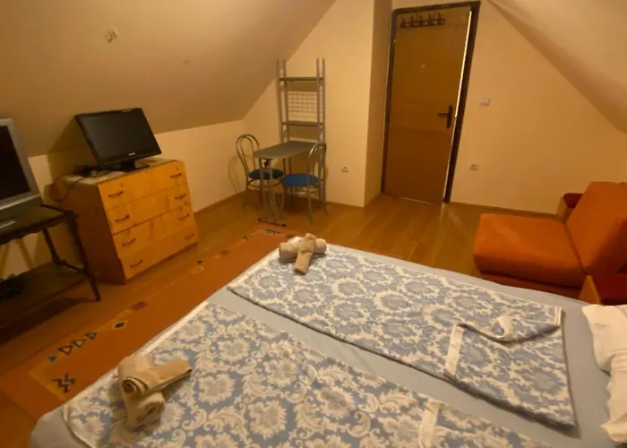 Vera Willa Vrnjačka Banja